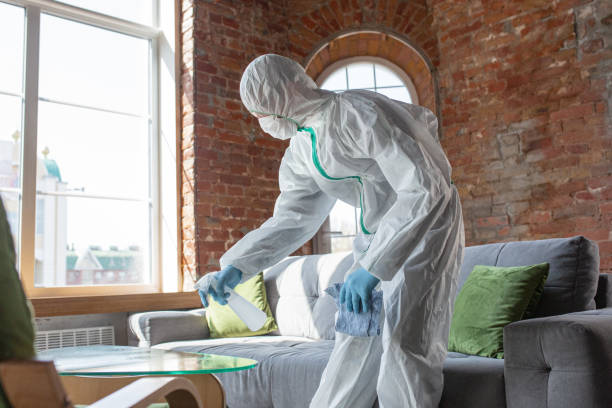 Best Mold Odor Removal Services in USA